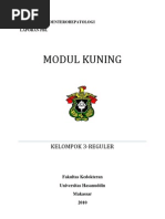 Download pbl kuning by Alifia Ayu Delima SN70208025 doc pdf