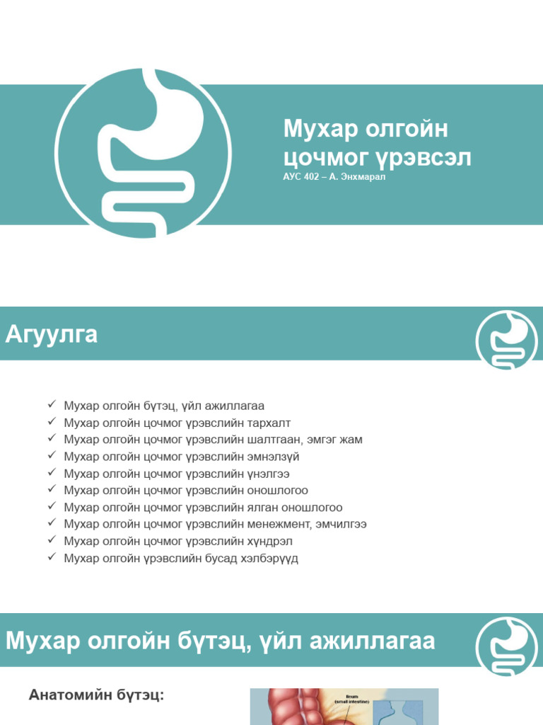 №1. Мухар олгойн цочмог үрэвсэл | PDF