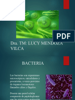 Bacterias 4