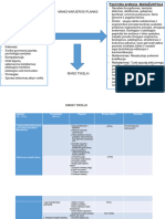 S Asmeninis Karjeros Planas