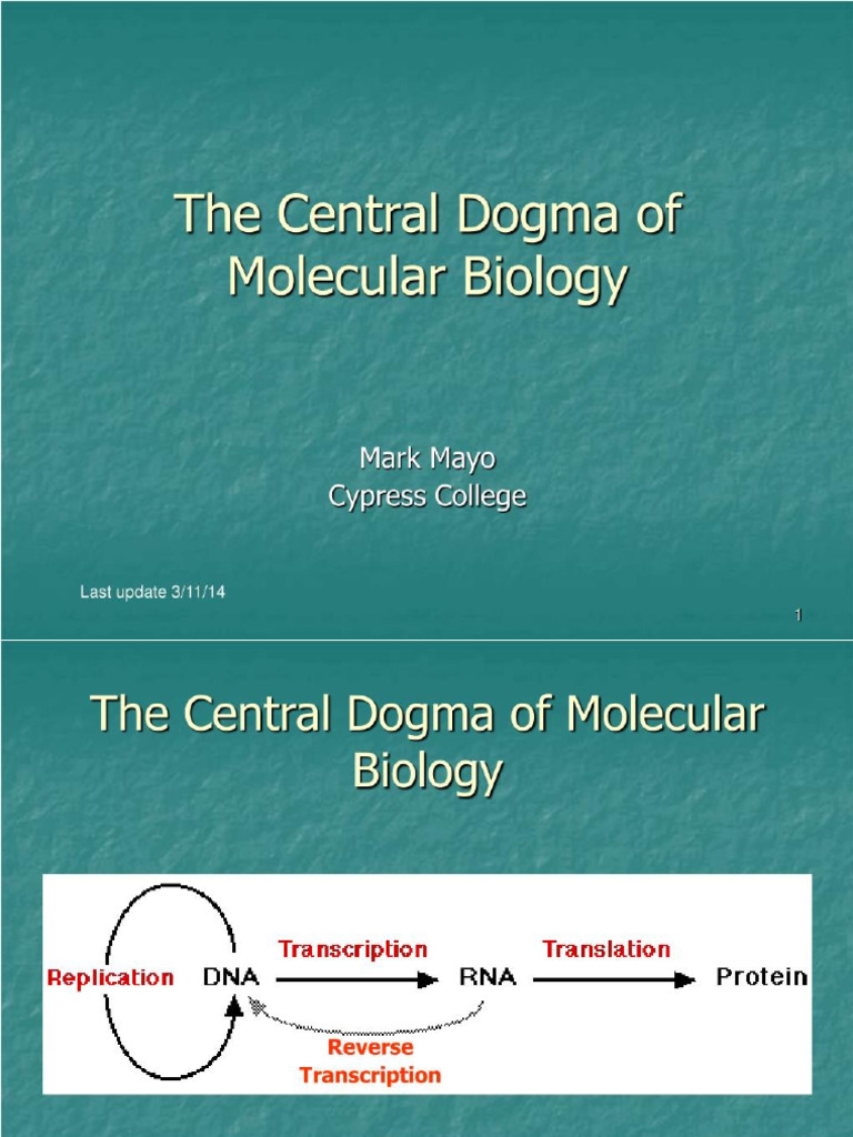 central-dogma-of-life-pdf