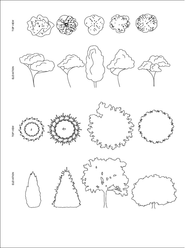 Trees 2 | PDF