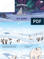 DLC 1704293673 Curiosul Urs Polar Poveste Powerpoint - Ver - 2