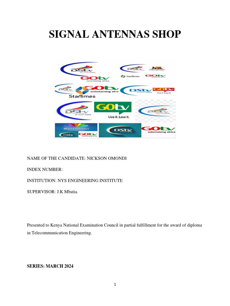 Nickoson Bplan Pdf Telegraphy Balance Sheet