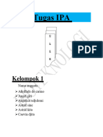 Tugas IPA Bioteknologi Tape