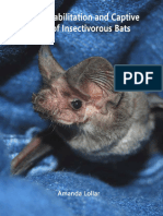 The Rehabilitation and Captive Care of Insectivorous Bats 2023 Download