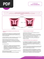 Guide du Toucher Vaginal en Gynécologie | PDF