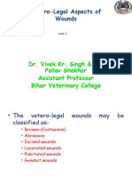Veterolegal Aspects of Wounds