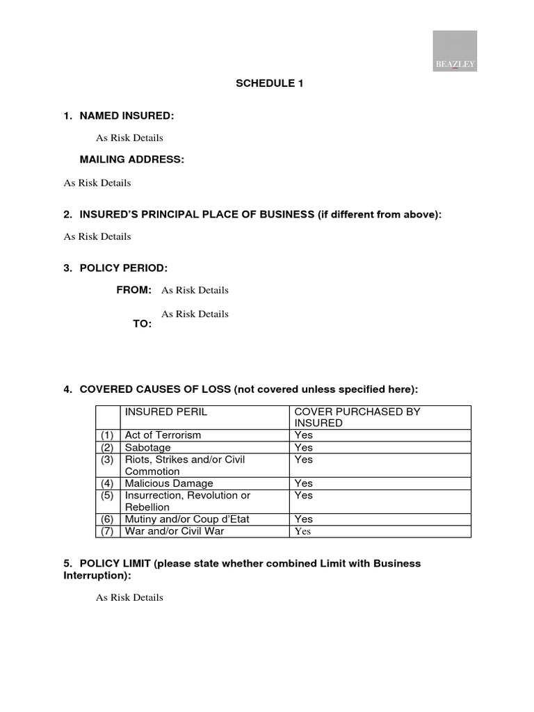 Beazley Political Violence Wording PDF Insurance Liability Insurance