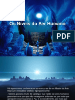 Os__Nveis_do_Ser_Humano