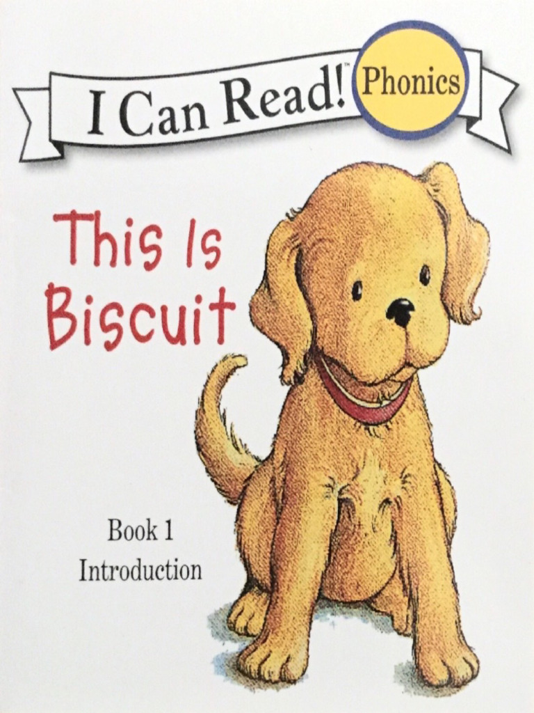 Biscuit | PDF