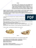 Testeciencias 5 Ano Reproducao