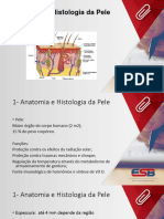 Anatomia e Histogia Da Pele