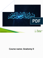 Lec 15 Angiology Lower Limb