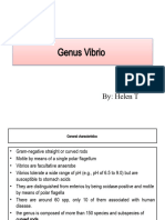 Enteric Pato