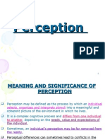 Download Perception by api-3803716 SN7021794 doc pdf