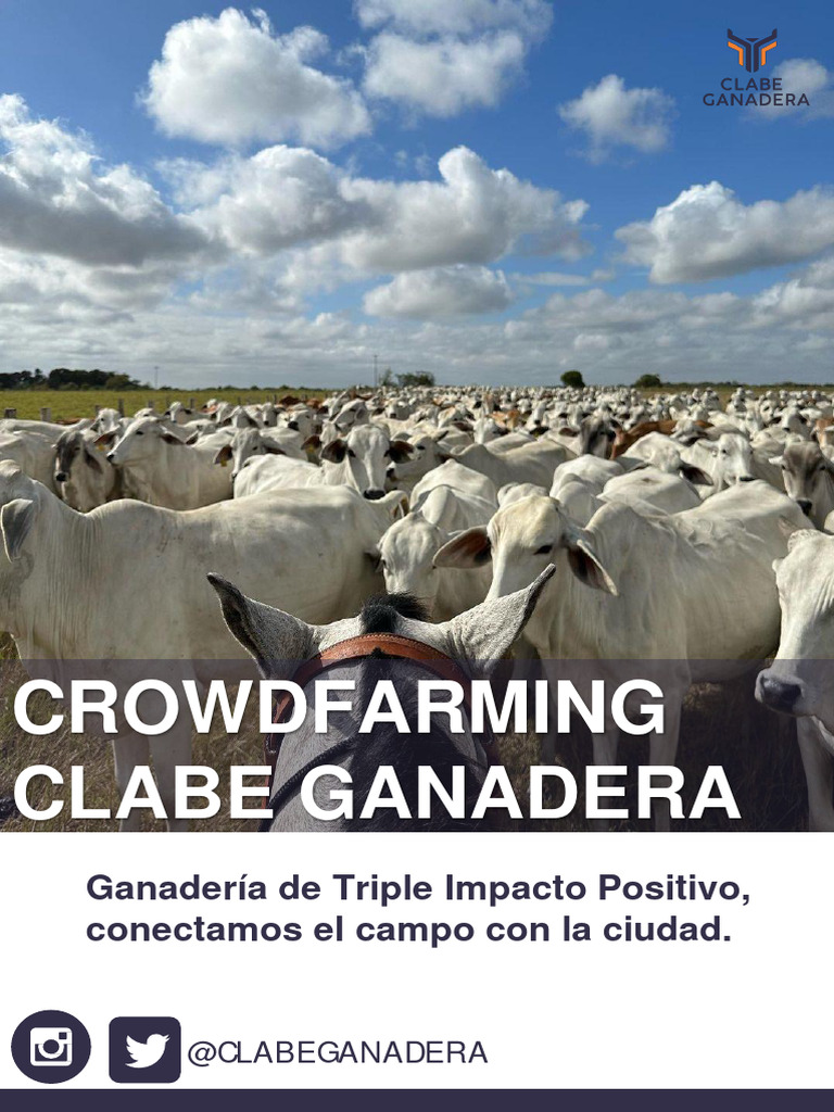 Clabe Ganadera: Crowdfarming en Venezuela | PDF | Venezuela | Carne