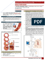 (NCM 410-M) Trans 1 - Altered Tissue Perfusion