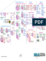 Cardiovascular Pathology - 024) Pericardial Diseases (Illustrations - Key)