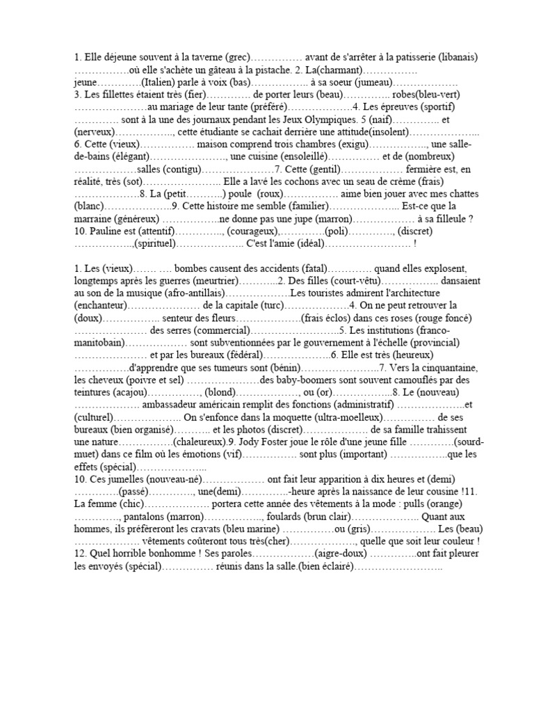 Adjectifs et descriptions variées en français | PDF