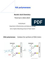 Lecture 2 - 2023 - DNA Polymerases