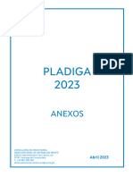 02 Anexos Pladiga Castellano 2023