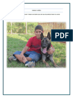 Ebook Perros y Niños Version Corregida 2