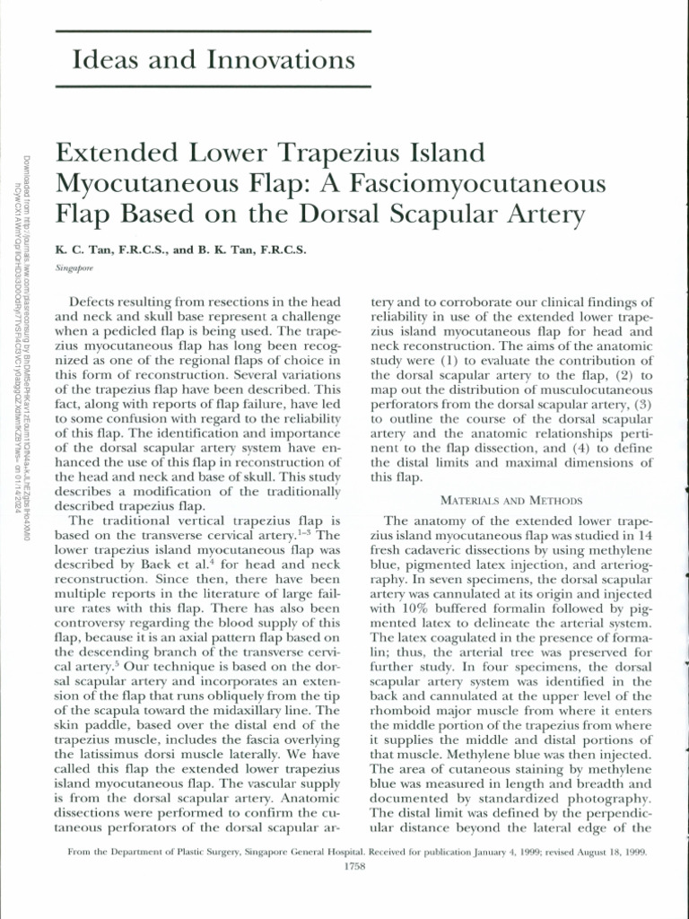 Tan Extended Lower Trapezius Island MC Flap PRS2000 | PDF