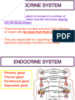 Endocrine System 2023-2024