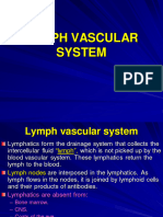 Lymph Vascular System