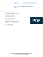 Unidad Didáctica 3: Anatomía Y Función de La Región Bucofacial