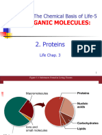 Lecture 23 - Proteins