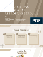 Struktur Dan Fungsi Alat Reproduksi Pria