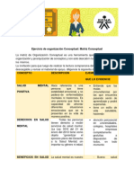 Matriz Conceptual A A 1