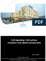 Signaling Cell