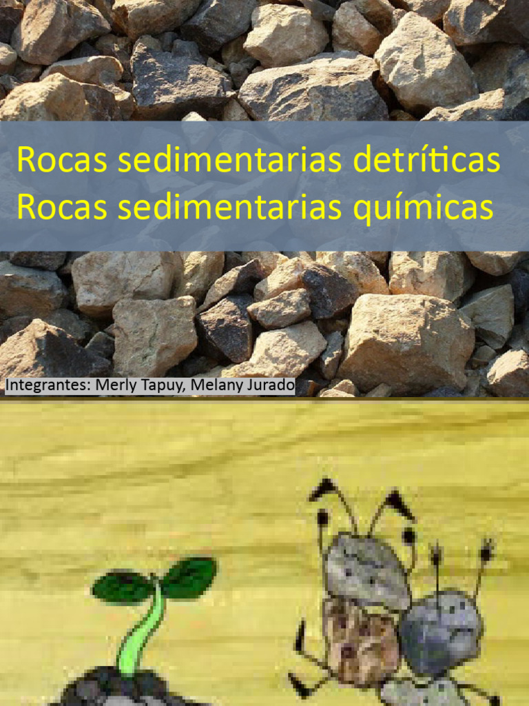 Tipos de Rocas Sedimentarias Detríticas | PDF | Roca clástica | Roca ...