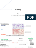 Staining & Simple Staining