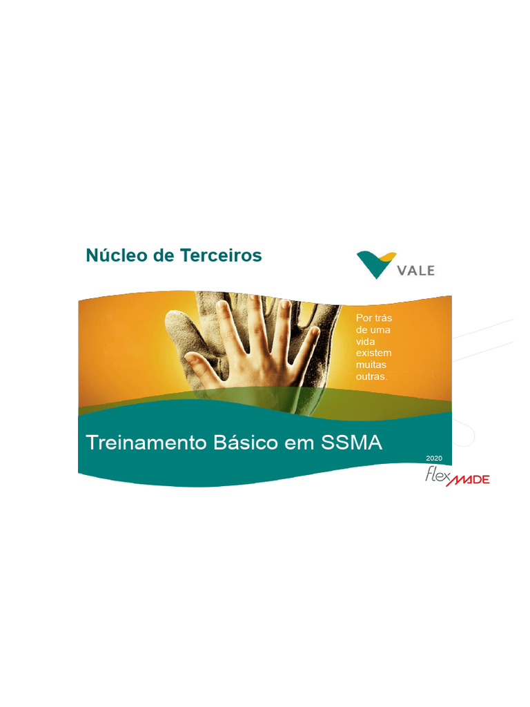 Treinamento SSMA e RAC na Vale | PDF | Desperdício | Fatores humanos e ...