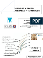 Clase9 - Fisiokin - Plumbosacro