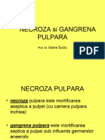 12.-NECROZA-si-GANGRENA-PULPARA