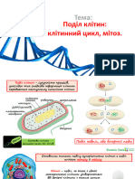 поділ клатини. мітоз