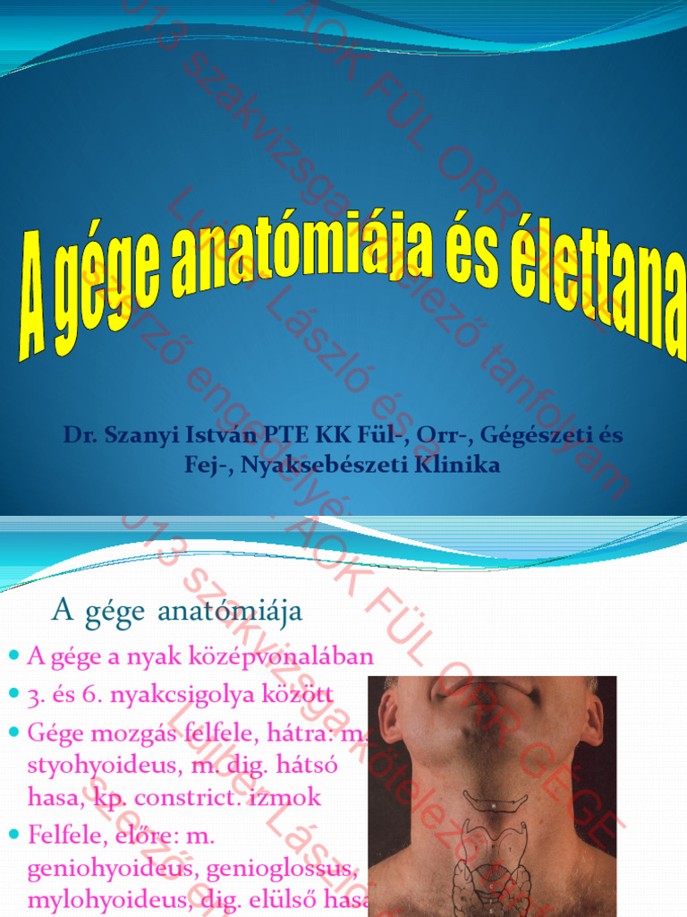 g-ge-anat-mia-lettan-2013-eawm-pdf