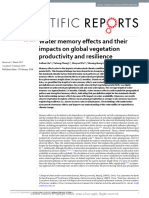 Water Memory Effects and Their Impacts On Global V