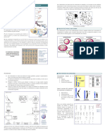 Enfermedades Geneticas 1