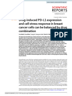 Drug-Induced PD-L1 Expression and Cell Stress Response in Breast Cancer Cells Can Be Balanced by Drug Combination