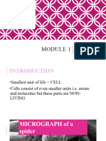 Module 1 Unit 1 Cells As Basic Unit of Life