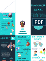 Tríptico Insuficiencia Renal Crónica