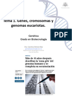 Tema1 Genetica Biotec CGD C