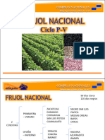 Presentacion Frijol