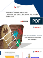 Prevención de Riesgos Laborales en La Micro y Pequeña Empresa
